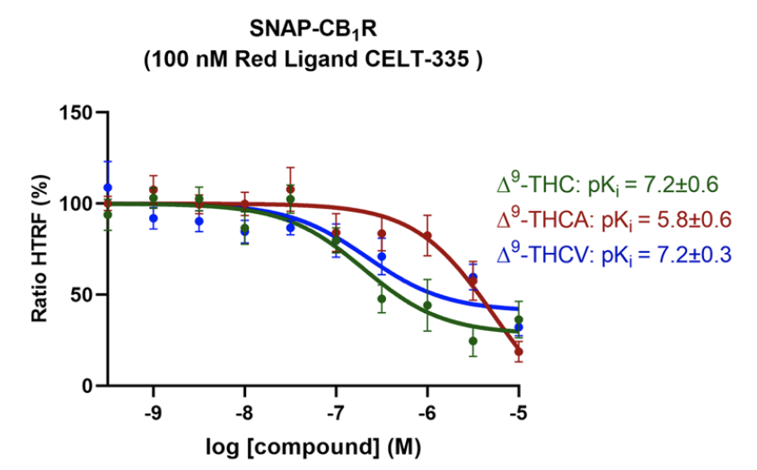 Homogeneous Time Resolved Fluorescence